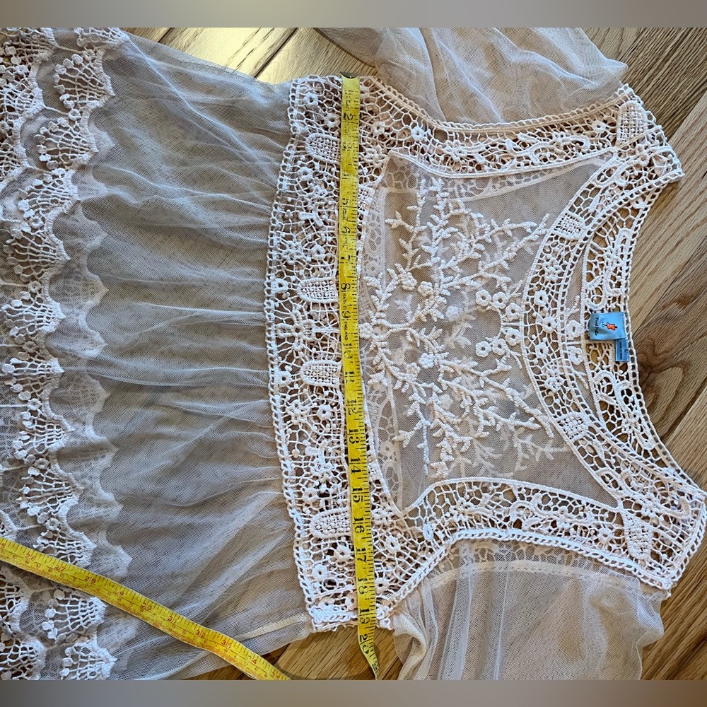 Pink Melo Sheer Embroidered Lace Peasant Top - Blush - Picture 8 of 10